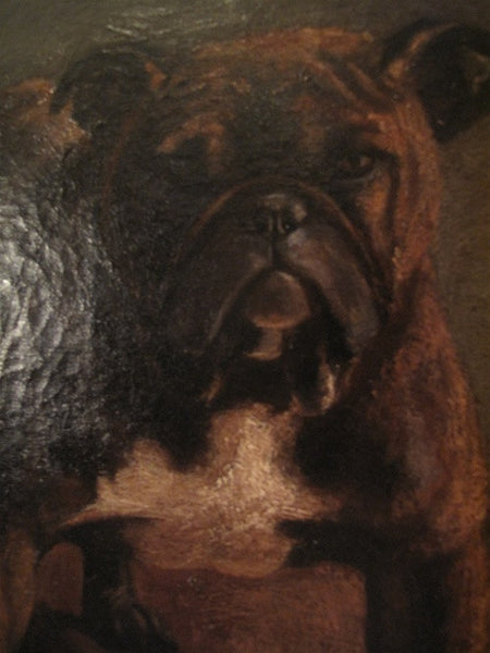 Toy Bulldog, Oil on Canvas Signed Painting by Marguerite Kirmse
