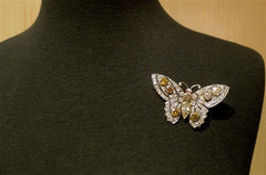 Rare Antique Natural Colored Diamond Butterfly Brooch