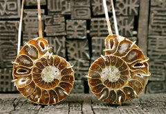 Melissa Joy Manning 14K Yellow Gold Ammonite Earrings