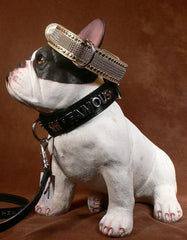 Doggie Dog "Biker Collar" Dog Collar