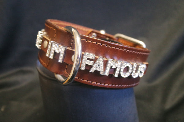 Doggie Dog "Hug Me I'm Famous" Dog Collar with Swarovski Crystals